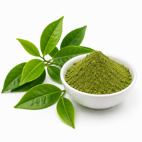 Green Tea Extract